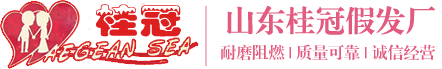 濟(jì)南天銳升降機(jī)械有限公司